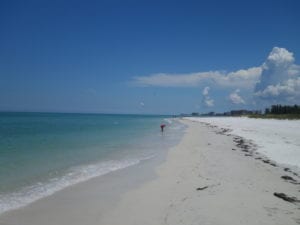 Lido Beach Sarasota Looking North