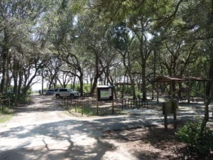 Boneyard Beach Parking Big Talbot Island Amelia Island Jacksonville