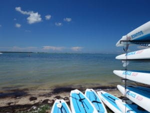 Caladesi Island Sail Honeymoon Kayak and Paddleboard Rentals