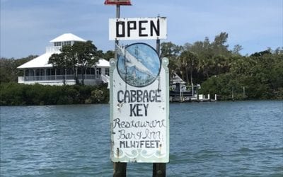 Iconic Cabbage Key
