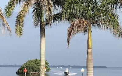 Nostalgic Tarpon Lodge is a Great Place to Visit