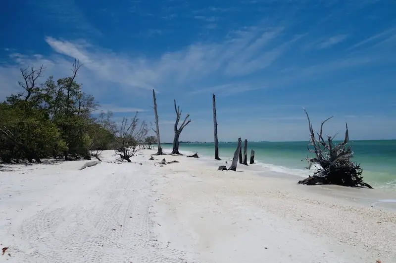 Lovers Key in Ft. Myers is one of the best driftwood beaches in Florida