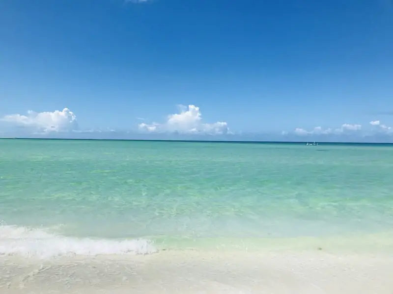 Crystal clear water of southwest Florida