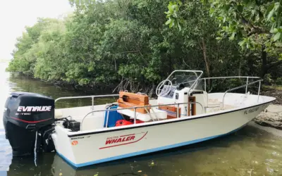 The Best Starter Boat for Families