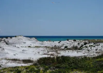 Topsail Hill Preserve State Park